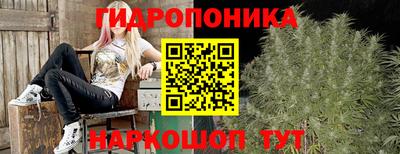 spice Абинск