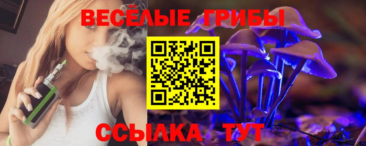 Псилоцибиновые грибы Psilocybine cubensis  Вход с VPN  Алексин 